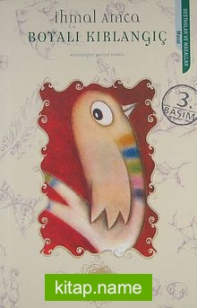Boyalı Kırlangıç — İhmal Amca kitap kapağı