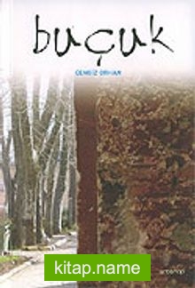Buçuk — Cengiz Orhan kitap kapağı