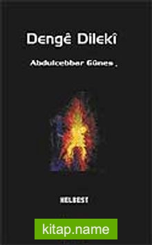 Denge Dileki — Abdulcebbar Güneş kitap kapağı