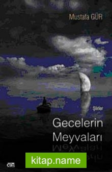 Gecelerin Meyvaları — Mustafa Gür kitap kapağı