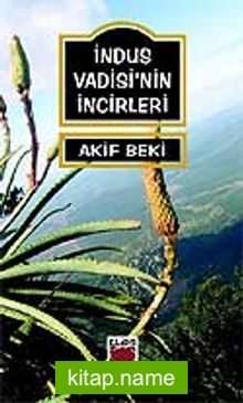 İndus Vadisi'nin İncirleri — M. Akif Beki kitap kapağı