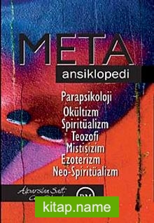 Meta Ansiklopedi — Alparslan Salt kitap kapağı