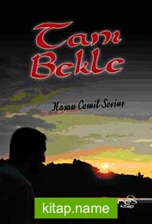 Tanı Bekle — Hasan Cemil Sevinç kitap kapağı
