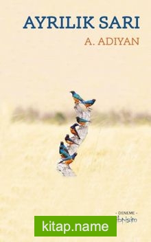 Ayrılık Sarı — A. Adıyan kitap kapağı