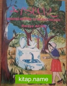 Ayşecik — Saniye Acun kitap kapağı