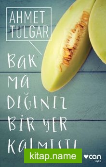 Bakmadığınız Bir Yer Kalmıştı — Ahmet Tulgar kitap kapağı