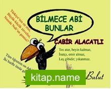 Bilmece Abi Bunlar — Cabir Alacatlı kitap kapağı
