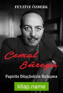 Cemal Süreya / Papirüs Düşçüsüyle Buluşma — Feyziye Özberk kitap kapağı