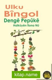 Denge Pepüke (Haiküyen İlona Nü) — Ulku Bingol kitap kapağı