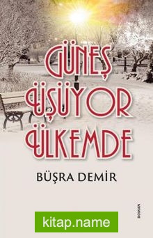 Güneş Üşüyor Ülkemde — Büşra Demir kitap kapağı