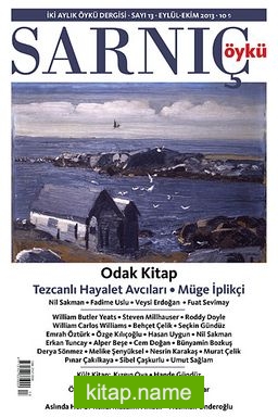 Sarnıç - Öykü Sayı:13 Eylül-Ekim 2013 kitap kapağı