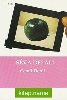 Sev a Delali — Cemil Denli kitap kapağı