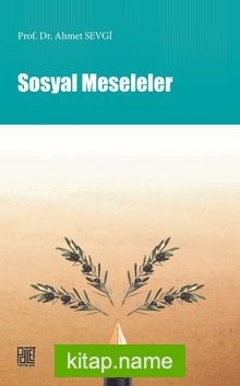 Sosyal Meseleler — Prof. Dr. Ahmet Sevgi kitap kapağı