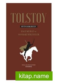 Tolstoy Bütün Eserleri 14 (Ciltli) — Lev N. Tolstoy kitap kapağı