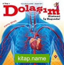 Dolaşım Sistemi İş Başında! - Vücudumuzdaki Sistemler — Flora Brett kitap kapağı