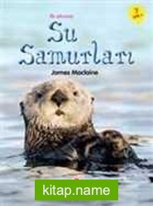 İlk Okuma - Su Samurları — James Maclaine kitap kapağı