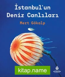 İstanbul’un Deniz Canlıları — Mert Gökalp kitap kapağı