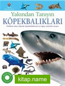 Köpekbalıkları - Yakından Tanıyın — Miranda McQuitty kitap kapağı